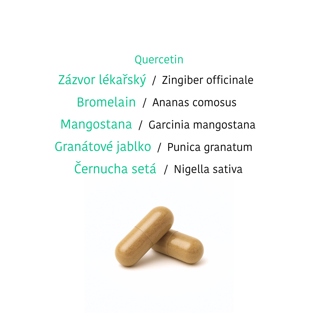 GUT feeling + HIT balance
