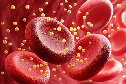 Cholesterol - dobrý sluha špatný pán