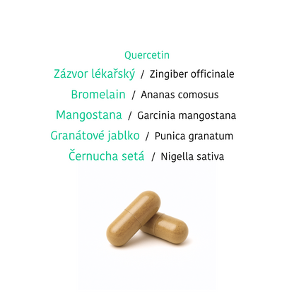 GUT feeling + HIT balance
